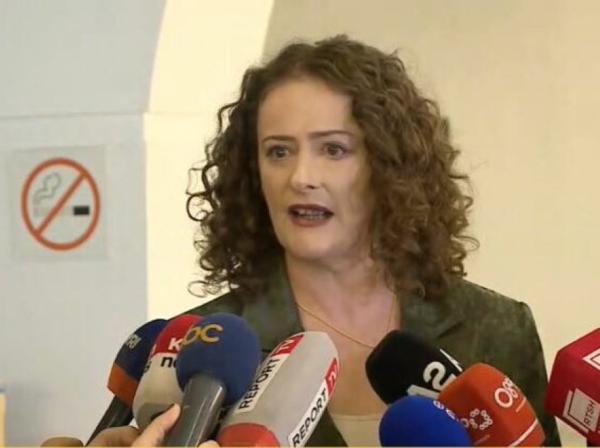 Fjalimi i Argita Malltezit në Kuvend, Berisha: Është aktiviste e PD që ditët e para