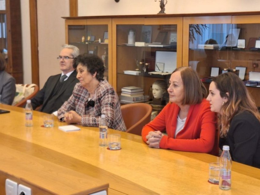 Delegacionet nga Maqedonia në Ljubljanë: Diskutime rreth rolit të gjykatave kushtetuese në mbrojtjen e të drejtave të njeriut