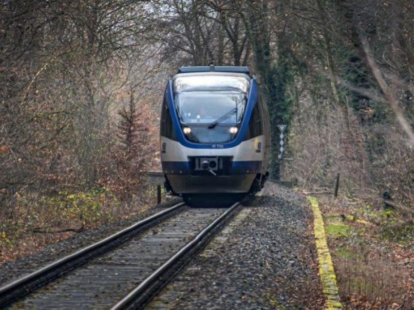 Makinisti gjerman ‘harroi’ disa vagonë të një treni, lë pas 80 pasagjerë që udhëtonin drejt Polonisë
