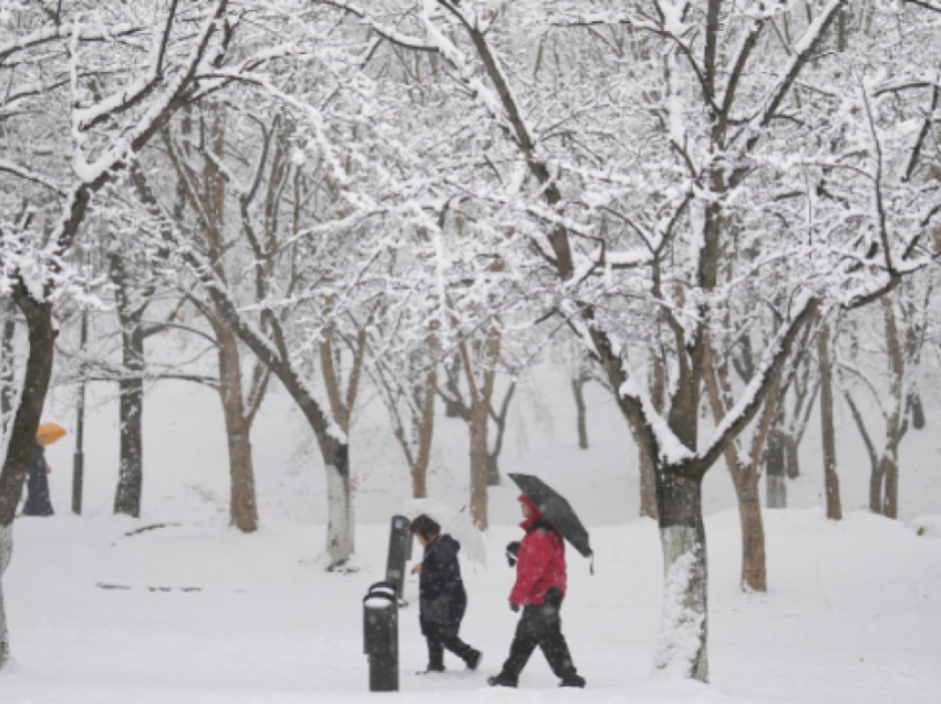 Reshjet më të mëdha të dëborës për më shumë se 40 vjet në Seul të Koresë Jugore