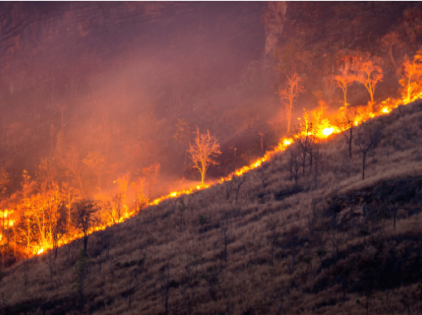 Zjarr në Parkun Kombëtar  ”Mali Sharr” mbi fshatin Tearcë