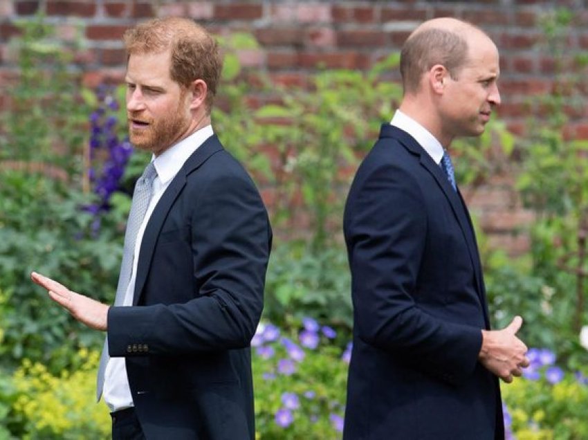 Pse Harry është i shqetësuar për rënien 'alarmante' të flokëve të vëllait, Princit William?
