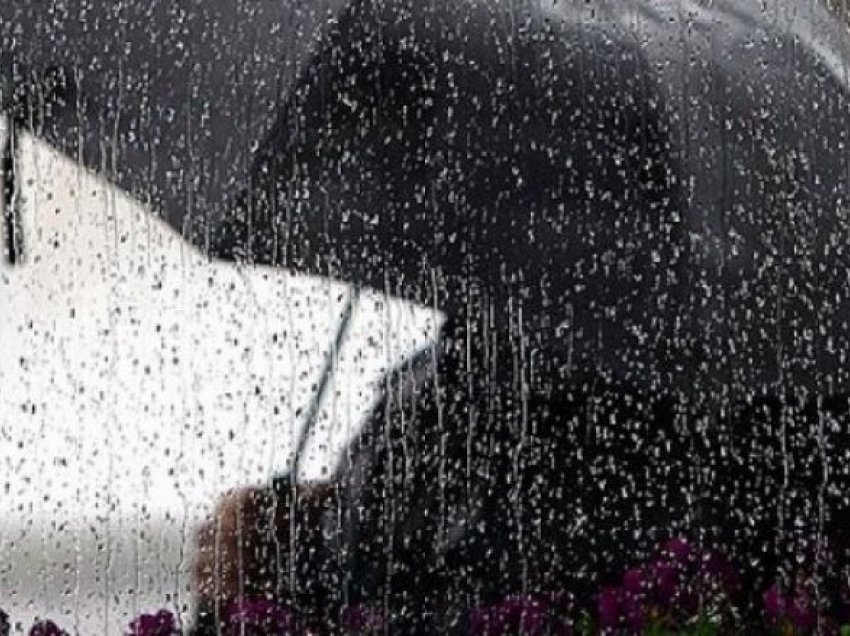 Pikat e shiut ndihmojnë në largimin e ankthit dhe stresit