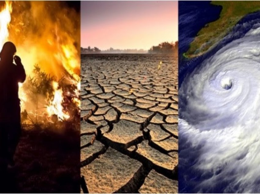 Cilat janë efektet e ngrohjes globale