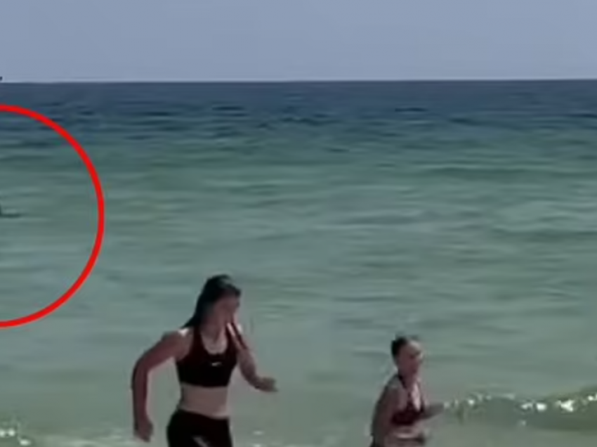 Peshkaqeni i shpejtë tmerron pushuesit e një plazhi 