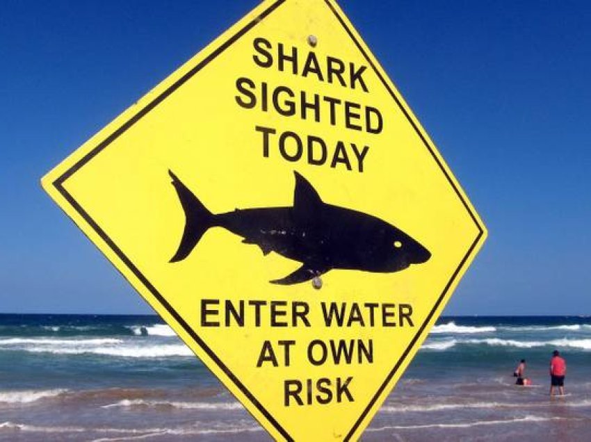 Vendet ku janë parë peshkaqenë të rrezikshëm këtë vit