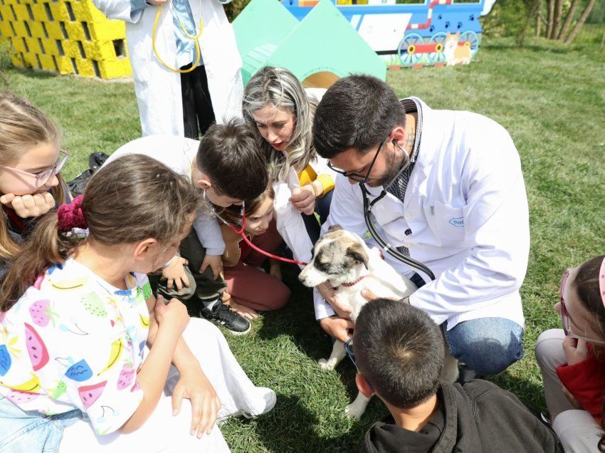 Bashkia Tiranë vlerësohet për menaxhimin e qenve endacakë