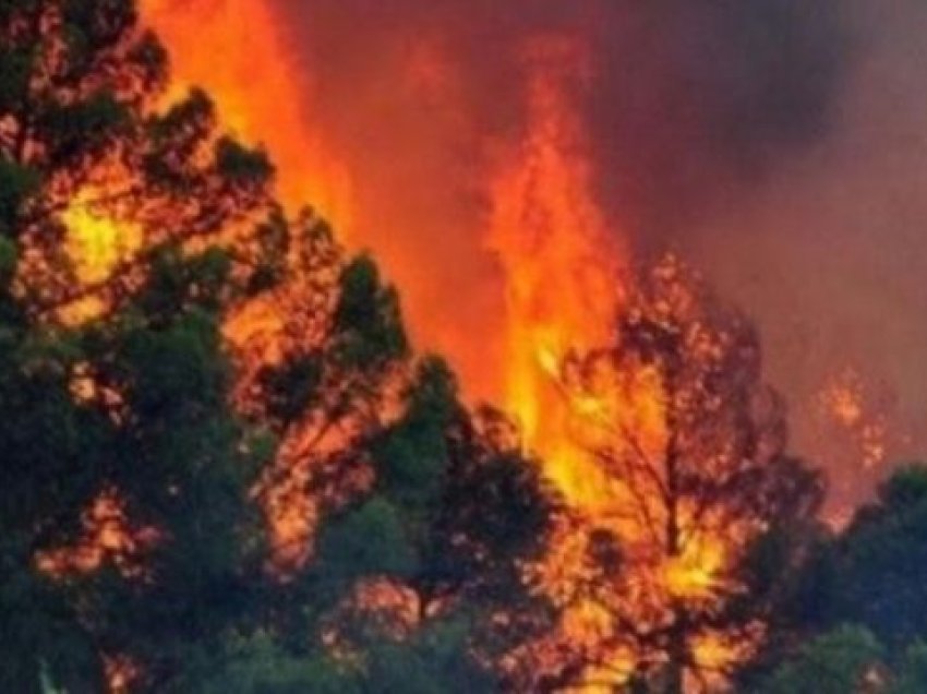 Temperaturat e larta, paralajmërohet për zjarre në Kosovë