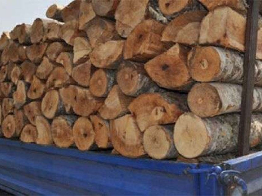 Ndalohen tre persona në Kërçovë, kapen duke prerë dru ilegalisht