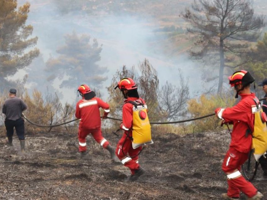 Situata e zjarreve në vend, Ministria e Mbrojtjes: Janë 5 vatra aktive, po ndërhyhet nga toka dhe ajri