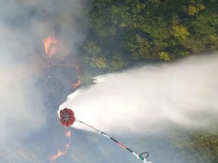 Shqipëri: Zjarre masive, plantacione ullinjsh të djegura