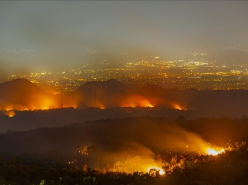 Zjarret shkatërrojnë 82 milionë hektarë pyje në mbarë botën në një dekadë