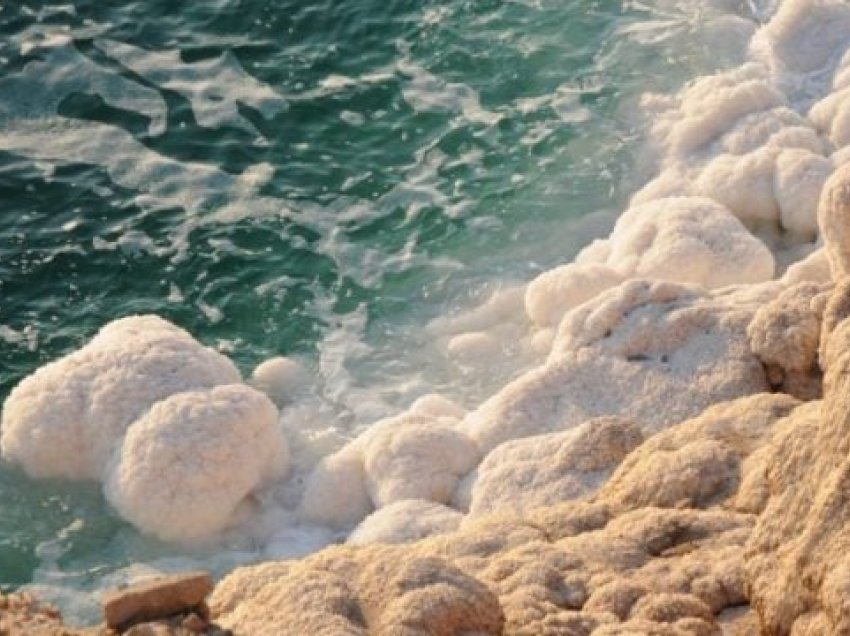 A janë pleshtat e detit të rrezikshme për shëndetin? Çfarë duhet të dini