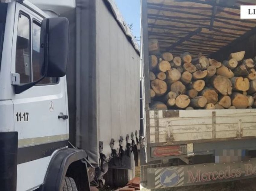 U kap duke transportuar lëndë drusore të prerë në mënyrë të paligjshme, ndiqet penalisht 33-vjeçari