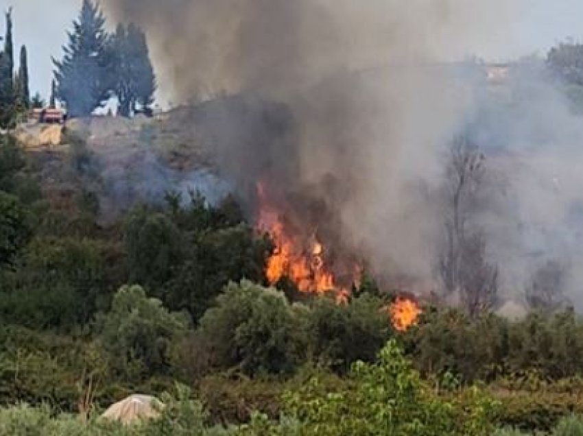 Zjarri rrezikoi banesat në Gjirokastër, zjarrfikësit e vënë nën kontroll