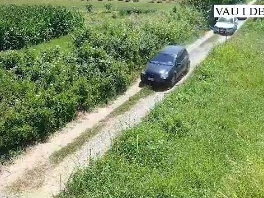810 bimë kanabis të asgjësuara në Vaun e Dejës, kultivuesi arrestohet në flagrancë