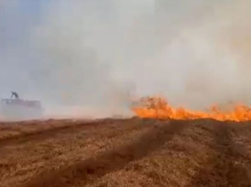 Rikthehen zjarret në Maliq, digjen dhjetëra hektarë tokë me kashtë