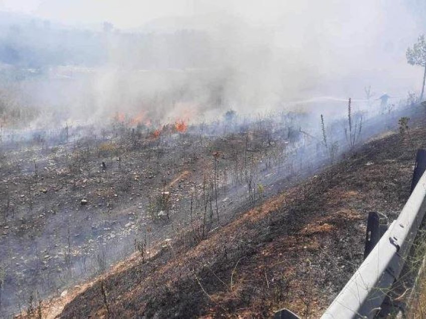 Zjarre në Dropull dhe Lazarat, ndërhyjnë zjarrfikësit