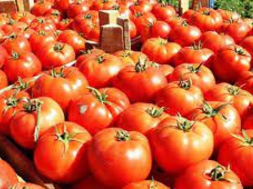 AVU në pritje të rezultateve për domatet nga Shqipëria