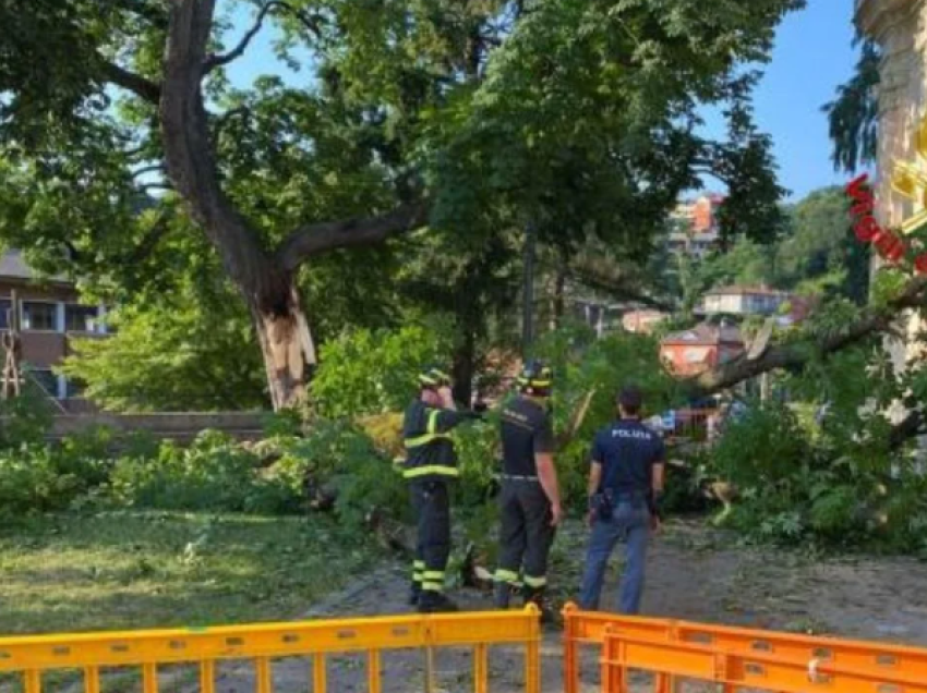 Incidenti jashtë kishës në Itali, pema thyhet dhe zë poshtë tetë persona