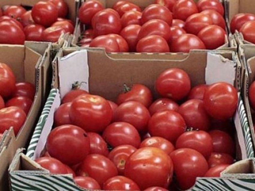 Turqia ‘frenon’ arkat e domateve në BE, prodhimi shqiptar ‘tundon’ Bullgarinë