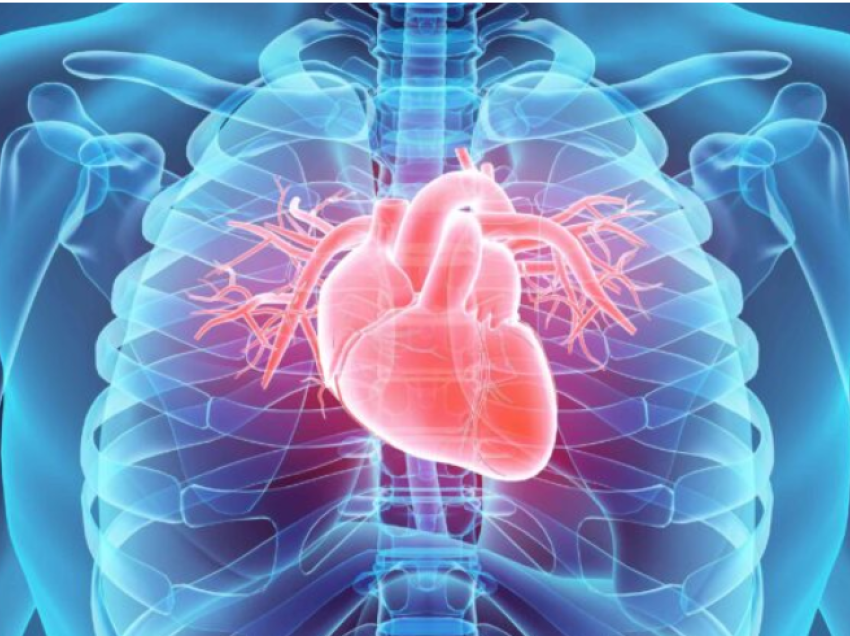 Testi 30 sekondësh që tregon se sa e shëndetshme është zemra juaj
