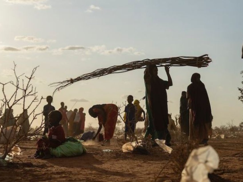 Dhjetëra mijëra të vdekur nga thatësira në Somali