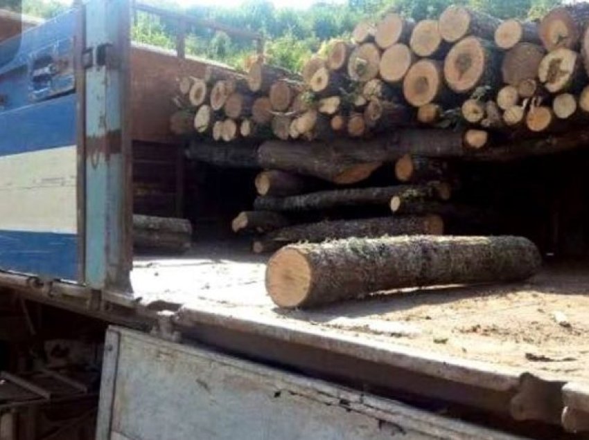 “Nëse i merr drutë ki me pësu”/ Dy të rinj në Skenderaj kërcënojnë zyrtarin e pyjeve, tentojnë ta rrahin