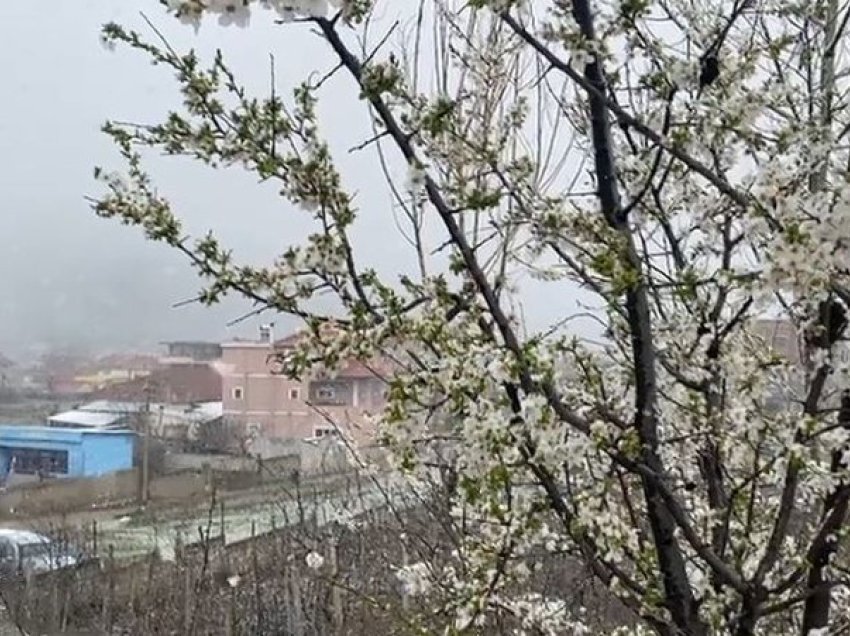Dimri nuk do të ikë/ Vijojnë reshjet e dëborës në këtë qytet shqiptar! Ulen ndjeshëm temperaturat