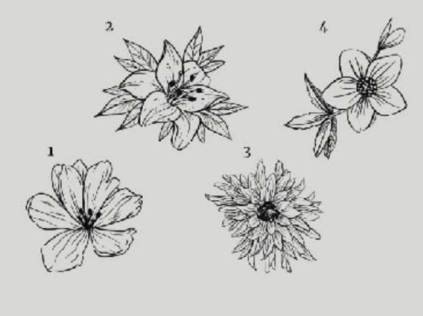 Test/ Zgjidh një lule dhe zbulo cili është pendimi yt më i madh që mban me vete nga e kaluara