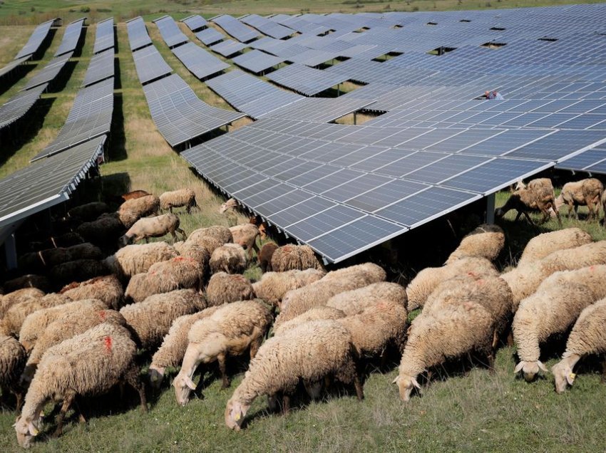 Reuters shkruan për fermën solare të Kamenicës