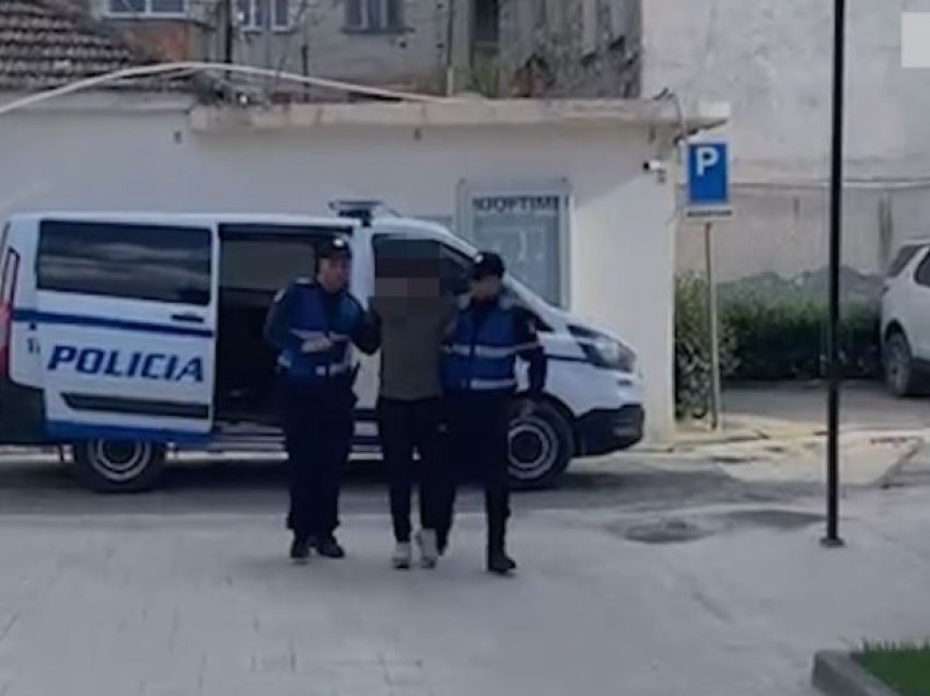 Vidhte elektroshtëpiake, kapet hajduti 39 vjeçar në Vlorë