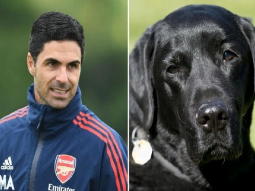 Transferimi i ri i Arsenalit është një qen