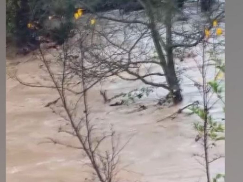 Situata me reshjet, Mbrojtja: Pastrohet rruga Skuraj-Burrel, në Mirditë është stabilizuar niveli i ujit