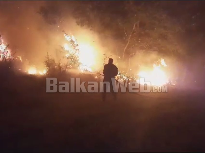 Aktivizohet një vatër zjarri në një fshat të Fushë-Krujës, era e fortë favorizon përhapjen e shpejtë të flakëve