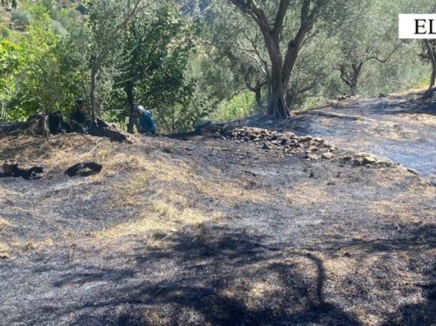 U dogj një sipërfaqe toke me shkurre dhe pemë frutorë, nën hetim një person në Elbasan
