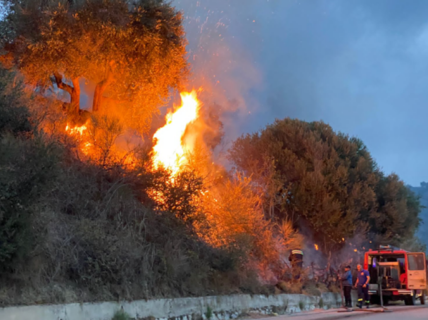 Zjarr në një masiv me ullinj dhe bimësi në fshatin Babicë të Vlorës
