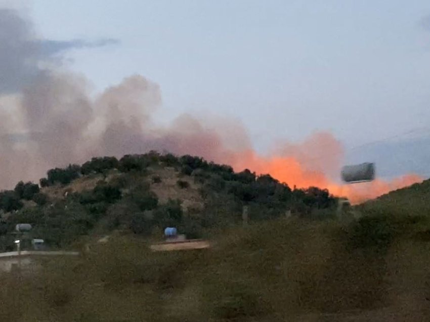 Zjarr masiv në kodrat me ullinj në Lushnje, në rrezik edhe disa banesa, zjarrfikësit ndërhyjnë për neutralizimin e flakëve