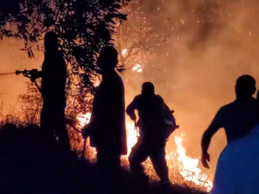 “Luftë” me flakët gjithë natës, vihet nën kontroll zjarri në Zhamë të Lushnjës