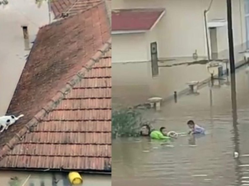 Moti i keq dhe fenomeni “Daniel”, Greqia në orë tmerri, pamje dramatike pas përmbytjeve