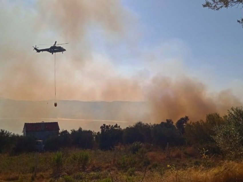 Zjarr në një sipërfaqe me ullishte në Fier, helikopteri Cougar ndërhyn nga ajri