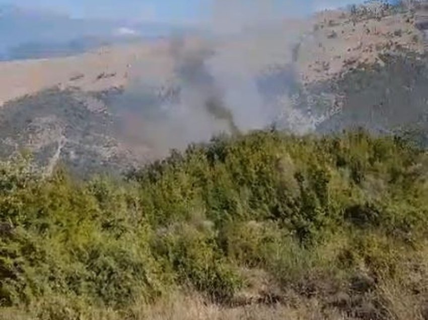 Zjarr në Berat, digjet një sipërfaqe me pisha dhe shkurre