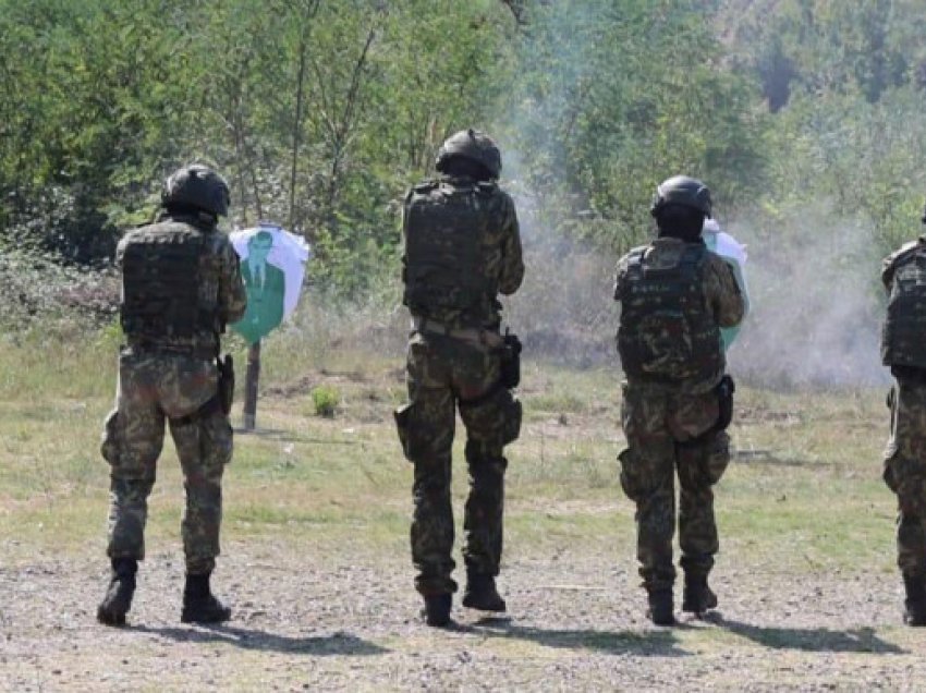 Pjesëtarët e FSK-së, përfunduan kursin e Forcave Speciale në Shqipëri