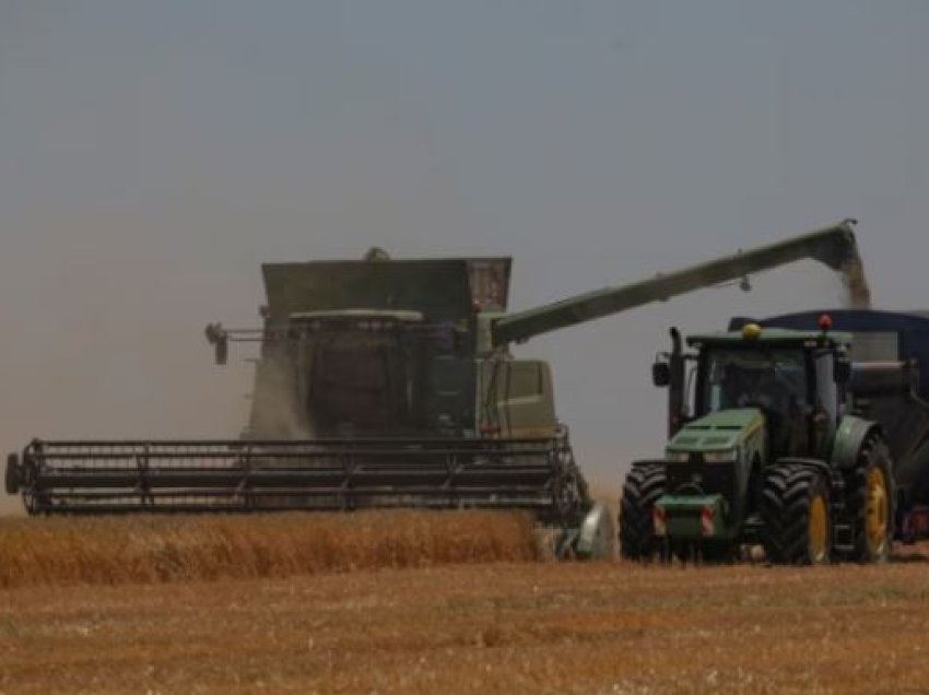 Ukraina padit fqinjët evropianë për ndalesën në importet ushqimore