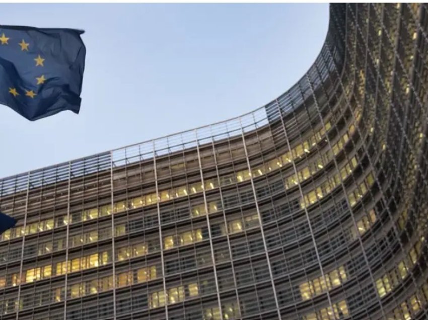 Gjermania e Franca me propozime jozyrtare për reformën e BE