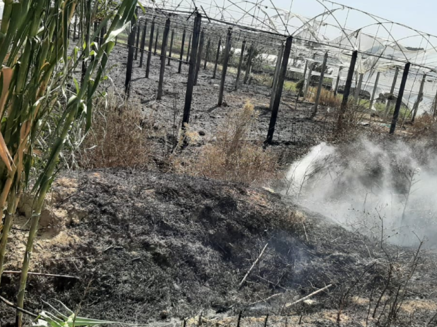 I vendosën zjarrin 4 fshatrave në Fier, policia identifikon autorët