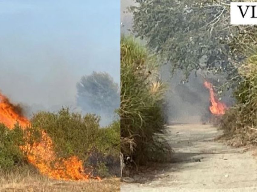 Ndezën zjarr në fshatrat Panaja dhe Mifol të Vlorës, në pranga njëri prej tyre