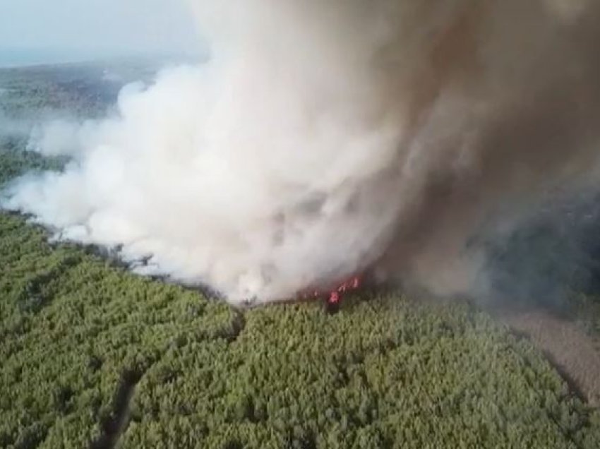 Riaktivizohen disa vatra zjarri në pyllin e Pishporos, favorizohen nga era e fortë