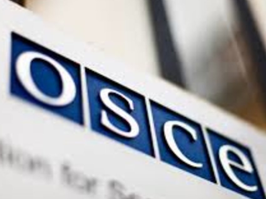 Raporti i OSBE-së për armët pa leje, plot vërejtje në praktikat e dënimit të rasteve