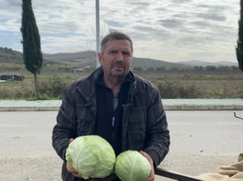 Bujqësia në vështirësi/ Punë nga mëngjesi në darkë, i moshuari në Divjakë përballet me probleme: Jam i detyruar